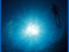 aboutfreediving5
